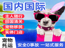 佛山航空托运国际宠物托运 【国